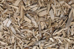 biomass boilers Piece